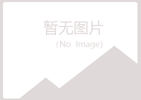 宁夏山柏培训有限公司